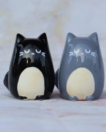 Peper- en zoutstel katten - Feline Fine