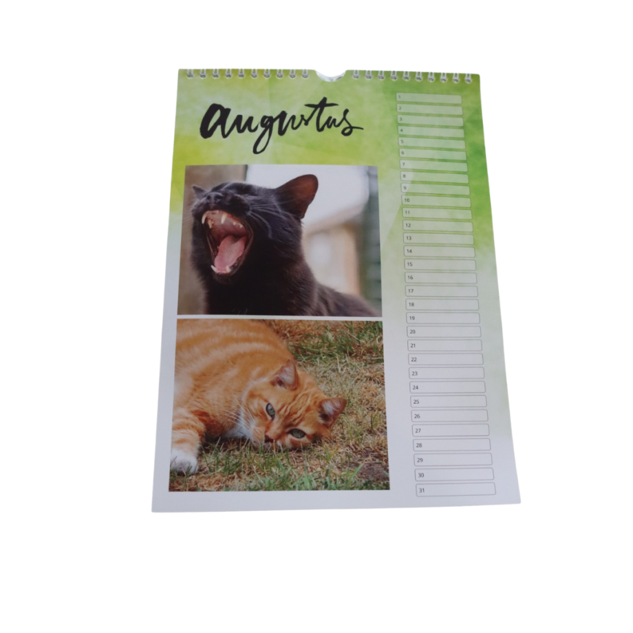 kalender katten asiel